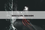 海西瓜什么生物，海西瓜有毒吗