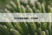 竹子印章签名图片，竹子印刷