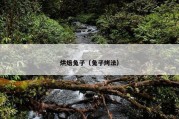 烘焙兔子（兔子烤法）