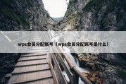 wps会员分配账号（wps会员分配账号是什么）