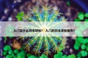 入门买什么羽毛球拍？ 入门的羽毛球拍推荐？