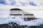小雪食谱插画教程？ 小雪饮食文案？