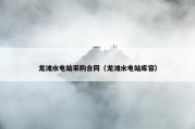 龙滩水电站采购合同（龙滩水电站库容）