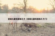 宣城儿童乐园有几个（宣城儿童乐园有几个门）