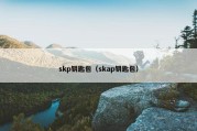 skp钥匙包（skap钥匙包）