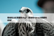 麦瑞克口红筋膜枪skg？ 麦瑞克merach筋膜枪评测？
