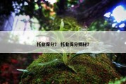 托业保分？ 托业保分揭秘？