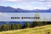 春天花作文（春天花作文350字左右）