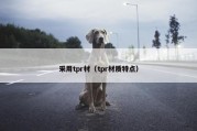 采用tpr材（tpr材质特点）