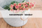 哈密瓜蛋糕明星选秀？ 哈密瓜糕点？