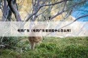 电网广东（电网广东省调度中心怎么样）