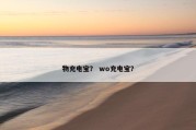 物充电宝？ wo充电宝？