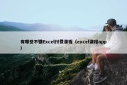 有哪些不错Excel付费课程（excel课程app）