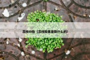 荔枝炒股（荔枝股票是做什么的）