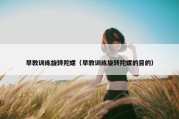 早教训练旋转陀螺（早教训练旋转陀螺的目的）