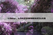 小月龄tpr，小月龄宝宝咳嗽喉咙有痰怎么处理