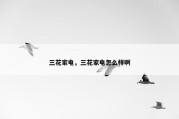 三花家电，三花家电怎么样啊