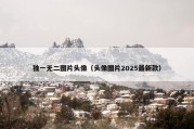 独一无二图片头像（头像图片2025最新款）
