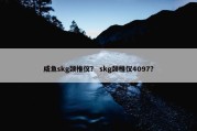 咸鱼skg颈椎仪？ skg颈椎仪4097？
