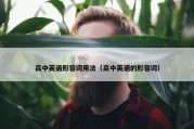 高中英语形容词用法（高中英语的形容词）