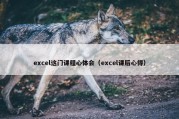 excel这门课程心体会（excel课后心得）
