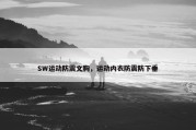 SW运动防震文胸，运动内衣防震防下垂