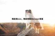 橡皮擦ovo，橡皮擦英文eraser读音