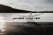 gabi小提琴家（garrett 小提琴）