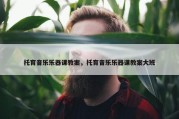 托育音乐乐器课教案，托育音乐乐器课教案大班
