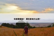松香薰蜡烛？ 熏松香有什么用？