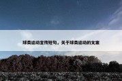 球类运动宣传短句，关于球类运动的文案