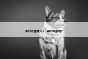 4050游戏币？ 4056游戏？