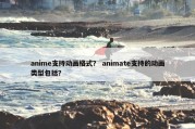 anime支持动画格式？ animate支持的动画类型包括？