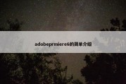 adobeprmiere6的简单介绍
