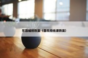乐器编排教案（器乐排练课教案）