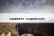 8kg软壶铃多少斤（32kg壶铃是什么水平）
