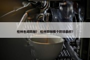 桂林包间网咖？ 桂林网咖哪个环境最好？