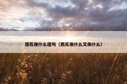西瓜像什么造句（西瓜像什么又像什么）