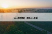 exo鹿晗项链（鹿晗exo造型）