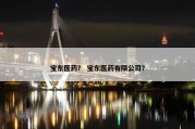 宝东医药？ 宝东医药有限公司？