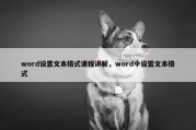 word设置文本格式课程讲解，word中设置文本格式