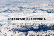 工作重点小红书运营（小红书运营主要做什么）