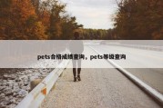 pets合格成绩查询，pets等级查询