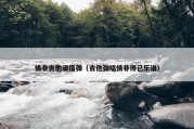 情非吉他谱指弹（吉他弹唱情非得已乐谱）