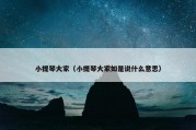 小提琴大家（小提琴大家如是说什么意思）
