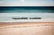 bdgeplus好玩吗？ braid好玩吗？