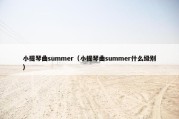 小提琴曲summer（小提琴曲summer什么级别）