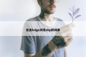包含bdge浏览skp的词条
