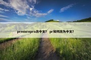 prmierepro改中文？ pr如何改为中文？