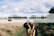 anime矩形选项在哪里，animate怎么画圆角矩形